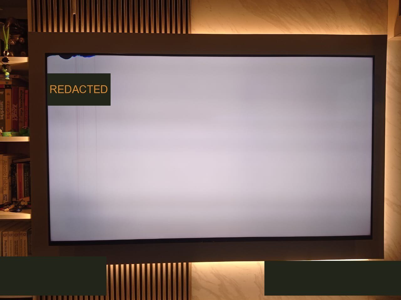Pale test screen photographed at the inspection, the image Sony cites as evidence